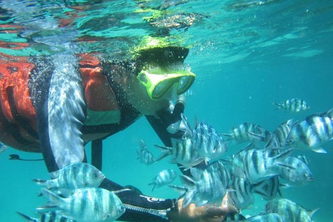 Blue Lagoon Snorkeling Adventure with Exclusive Hotel Transfer