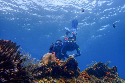 Certified Diver Adventure: Explore Tulamben's Shipwreck and Coral Gardens