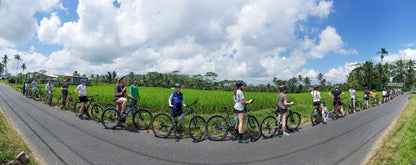 Ultimate Morning Cycling Experience in Bali