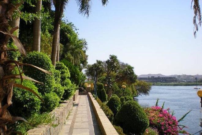 Felucca Journey to Botanic Gardens and Botanical Museum from Aswan
