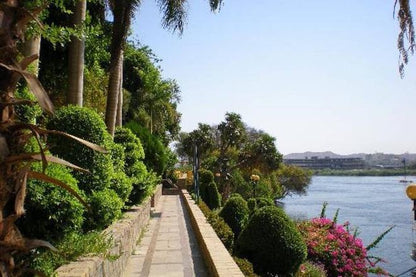 Felucca Journey to Botanic Gardens and Botanical Museum from Aswan