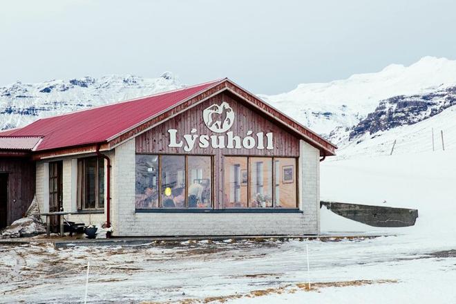 Explore Snæfellsnes in Spanish: Farm Lunch and Minibus Tour