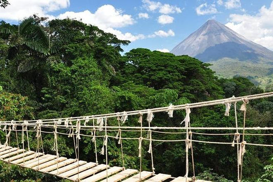 Costa Rica's Top Destinations: 13-Day Tour Program