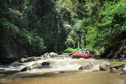 Ubud Ayung River Whitewater Rafting Adventure