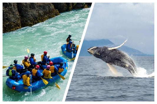 Whale Watching and White Water Rafting Adventure