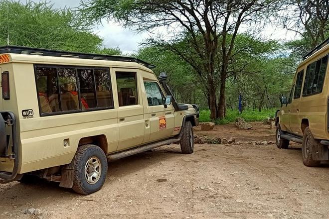 Three-Day Group Safari Adventure in Tanzania