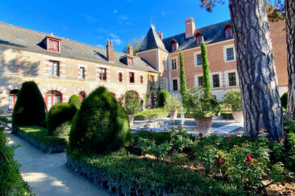 Private 2-Day Loire Valley Castles and Wine Tasting Tour by Minivan from Tours