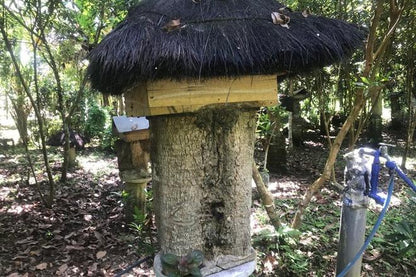 Discover the Secrets of Sustainable Beekeeping: Stingless Bee Honey Farm Tour