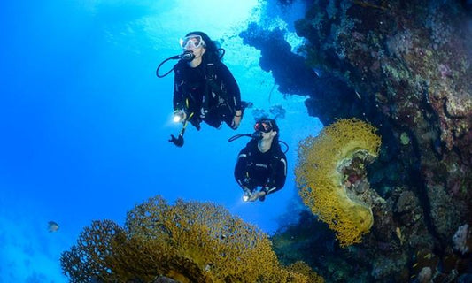 Full-Day Open Water Diving Adventure at Tulamben Sea - Dive up to 18 Meters Deep