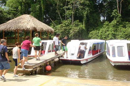 Tortuguero Canal and Cahuita National Park: A Nature and History Shore Excursion