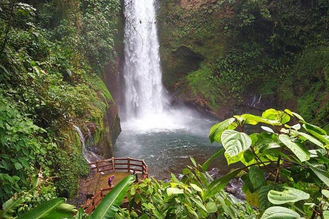 San Jose to La Paz Waterfall Gardens: Discover the Wildlife Refuge