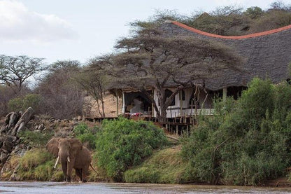 Nairobi and Samburu National Reserve 4-Day Safari Adventure
