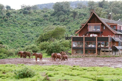 Nairobi and Aberdare National Park 4-Day Safari Adventure