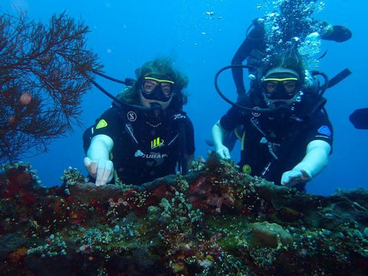 Exclusive 8-Hour Tulamben Guided Diving Adventure