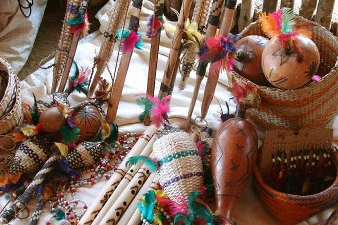 Full-Day Exclusive Private Tour: Experience the Indigenous Culture of São Paulo