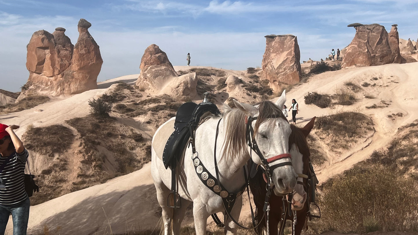 Explore Cappadocia: Small Group Red Tour with Fairy Chimneys Exploration