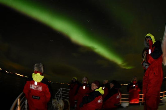 Explore the Northern Lights: Magical Akureyri Cruise Experience