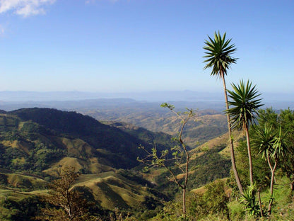 Ultimate Costa Rica Experience: 15-Day Adventure