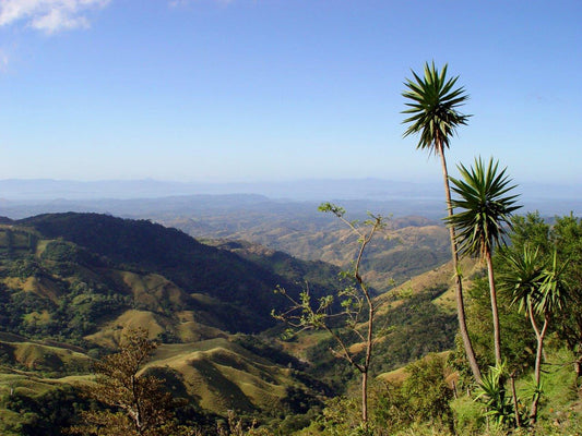 Explore Enchanted Costa Rica: 9-Day Adventure Tour