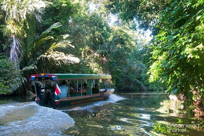 Costa Rica's Caribbean Escape: 5 Days Exploring Tortuguero National Park and Puerto Viejo