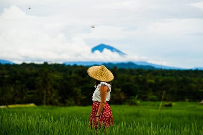 Exclusive Bali Full-Day Private Tour Experience