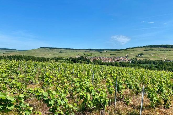 Champagne Tasting Tour: Small-Group Exploration of Mercier, Pressoria, and Chateau Boursault from Paris