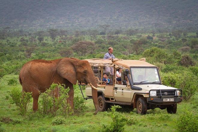 Kenya Safari Adventure: 6-Day Exclusive Tour