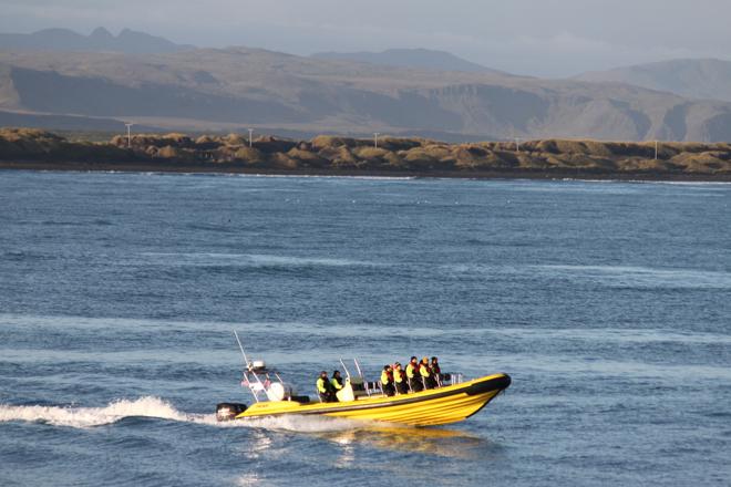 Downtown Reykjavik RIB Speedboat Tour: Whale and Puffin Watching Experience