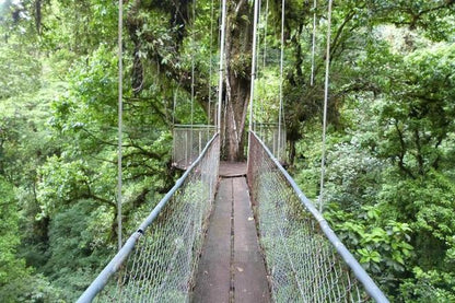 Arenal Hanging Bridges and Tabacon Hot Springs Day Tour from San Jose