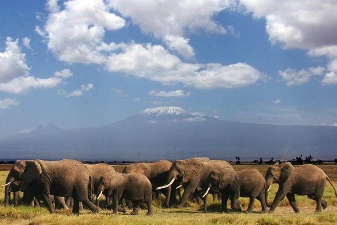 Explore Amboseli National Park on a Thrilling 2-Day Safari Adventure