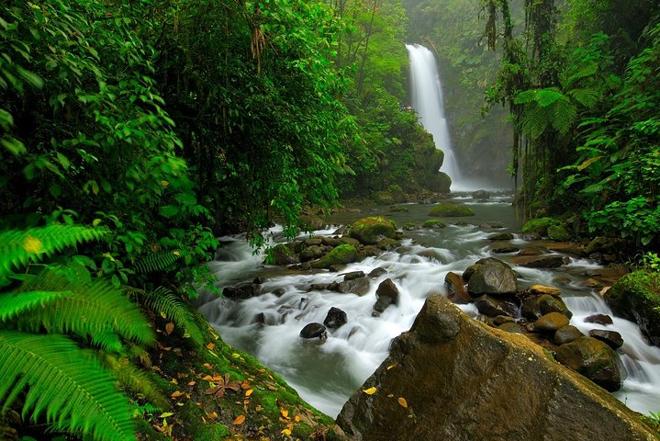 Costa Rica Adventure: 8-Day/7-Night Vacation Highlights Package