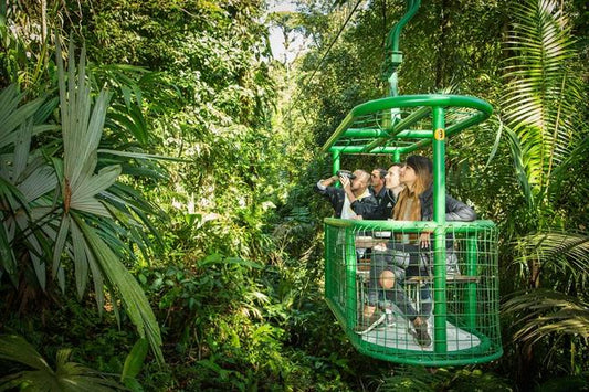 Private Triple Experience Eco Tour: Rainforest Aerial Tram, River Cruise & Nature Walk