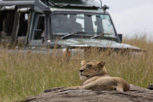 Maasai Mara 5-Day Luxury Safari Adventure: Exclusive Fly-In Experience