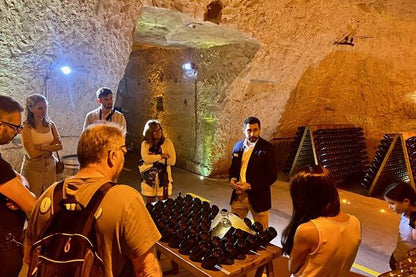 Luxury Private Champagne Tasting Tour: Moet & Chandon and Veuve Clicquot Cellars - Day Trip from Paris