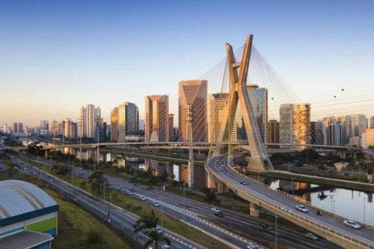 São Paulo Full-Day Private Tour: Explore Top Attractions with Optional Airport Pickup