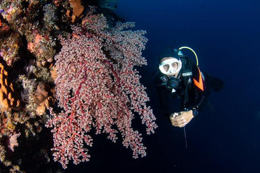Explore Scuba Diving at USAT Liberty Shipwreck in Tulamben, Bali