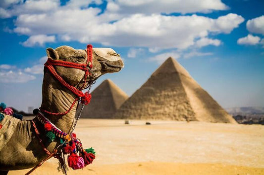 Cairo Layover Tour: Discover the Giza Pyramids and Sphinx