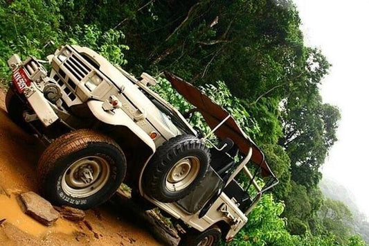 Tijuca Rainforest Adventure: Scenic Half-Day Jeep Tour in Rio