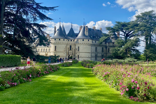 Exclusive Day Trip to Loire Castles from Paris: Chenonceau, Blois, & Chaumont