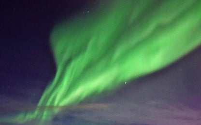 Reykjavik Whale Watching and Northern Lights Adventure