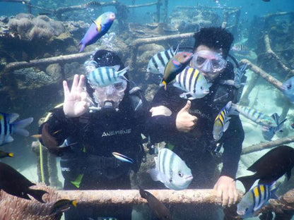 Nusa Dua Exclusive Diving Adventure: Private Bali Underwater Exploration