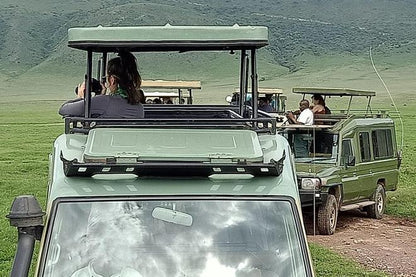 Ngorongoro Crater Full-Day Excursion