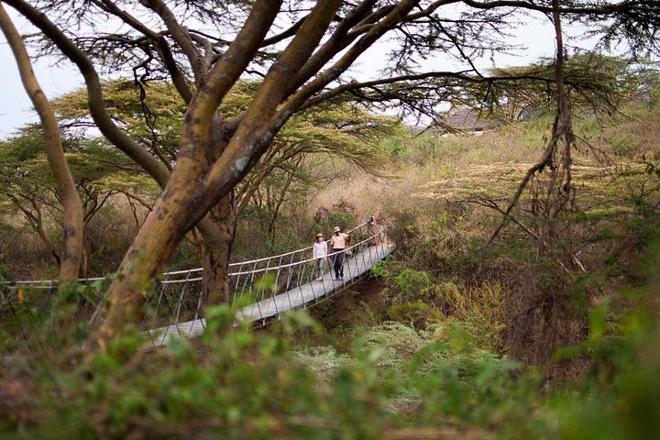 Nairobi National Park 3-Day Safari Adventure