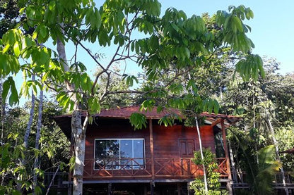Discover the Amazon Jungle: 3-Day, 2-Night Adventure at Amazon Mamori Lodge