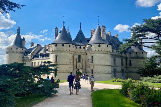 Loire Valley Castles Tour from Paris: Chenonceau, Blois & Chaumont in Small Groups