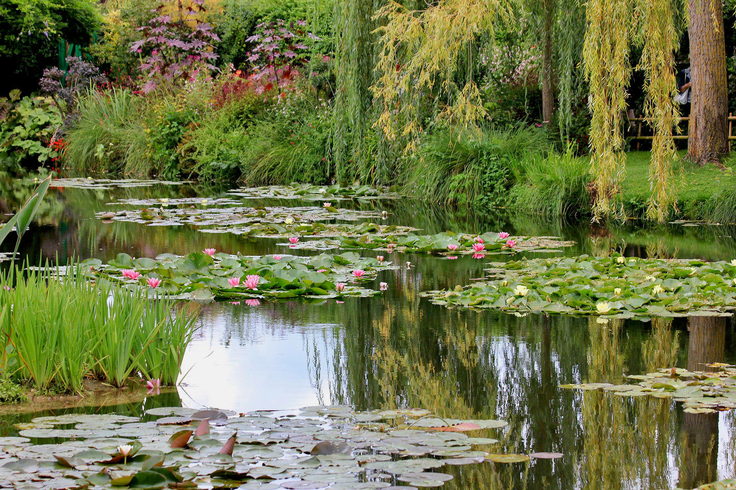 Small-Group Giverny Half-Day Tour from Paris via Mercedes (2-7 People)