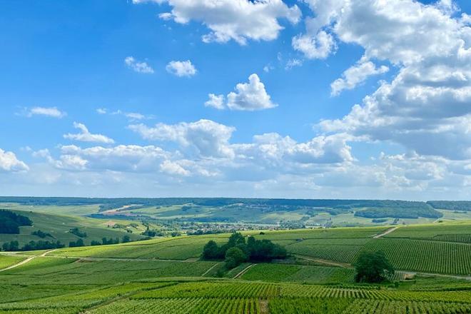 Exclusive Private Champagne Tour: Ruinart and Veuve Clicquot Experience from Paris