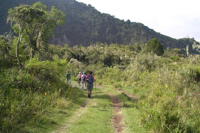 Arusha National Park Adventure: Guided Walking Safari and Canoeing Experience