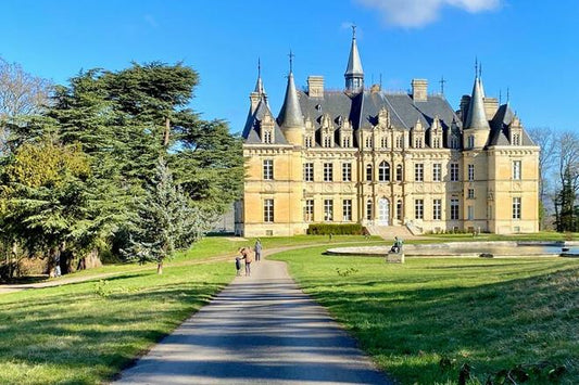 Exclusive Guided Tours and Tastings at Champagne Boizel and Pommery Cellars