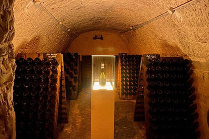 Luxury Private Champagne Tasting Tour: Moet & Chandon and Veuve Clicquot Cellars - Day Trip from Paris